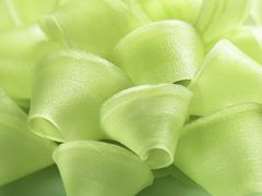 -蜀九香火锅(九眼桥店)