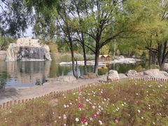 -大青山野生动物园