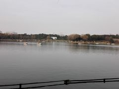 -昆山城市生态森林公园