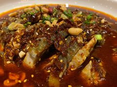 凉拌鸡-铁公鸡·四川料理(天环广场店)