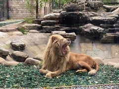 -北京野生动物园