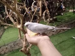 -绿色星球动物主题公园