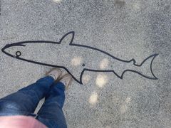 -珠海长隆海洋王国