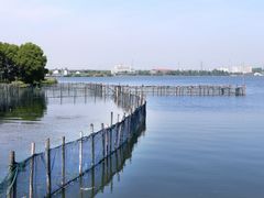 -鹅湖玫瑰文化园