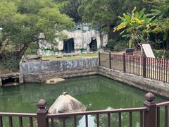 -广东惠东海龟国家级自然保护区