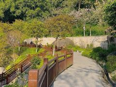 -天鹿湖森林公园