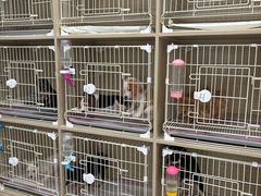 -双季花艺园艺市场(浦东店)