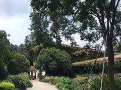 -中国茶叶博物馆(双峰馆区)