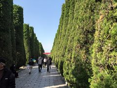 -上海浦东新区乐乡公墓