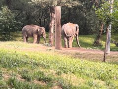 -北京野生动物园