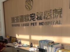 -瑞派雷欧宠物医院·24h夜诊·心脏骨科牙科·全科重症转诊中心(无影山店)