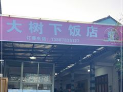 门面-大树下饭店(春晓镇慈岙社区卫生服务站南)