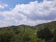 -府君山公园