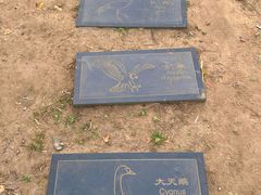 -野鸭湖国家湿地公园