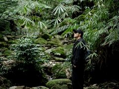 -峨眉山报国寺