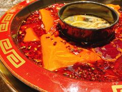 冷锅血旺-蜀辣居鲜货老火锅(红牌楼店)