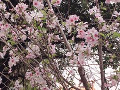 -狐尾山公园