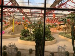 -南宫五洲植物乐园