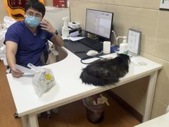-北京观赏动物医院·24小时大型综合·猫专科·异宠专科
