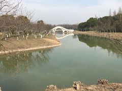 -上海海湾国家森林公园