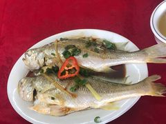 清蒸黄花鱼-蛇口康乐快餐鱼仔档(翠苑小区店)