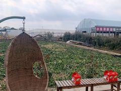 -小鱼草莓采摘园农家乐·小鱼餐厅