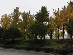 -百林公园-两江幸福广场