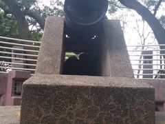 -九龙公园