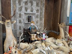 -乔家满族八大碗(流水沟店)