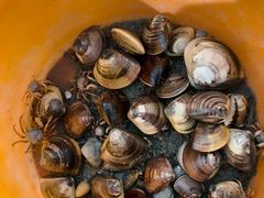 -北海金海湾红树林生态旅游区