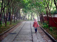 -石钟山
