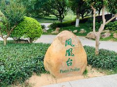-火炉山森林公园