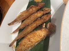 -阿诚市井潮汕菜(金台路店)