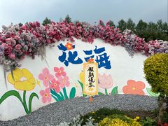 -荷兰花海