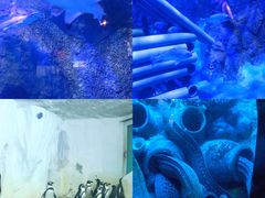 -太平洋海底世界