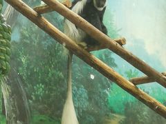 -石家庄市动物园