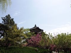 -西安青龙寺遗址景区