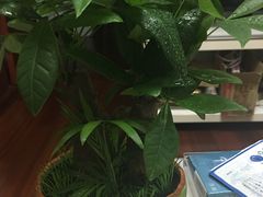 -双季花艺园艺市场(浦东店)