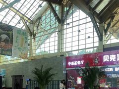 -汤旺河林海奇石景区