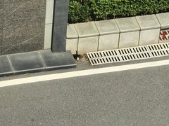 -金太阳海鲜烧烤·本地人餐厅(南沙店)