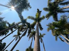 -中国科学院西双版纳热带植物园