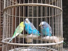 -鱼桥巷·美学川菜