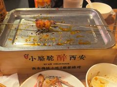 -福苗小骆驼烧烤(莲湖路店)