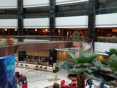 -OPEN開全日自助餐厅·牛肉火锅·海鲜(佛山希尔顿酒店)