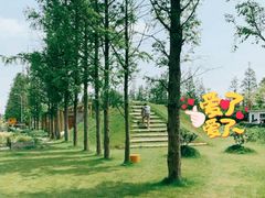 -前小桔亲子创意农场·草莓采摘·露营烧烤