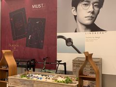 -大视光学•LINDBERG林德伯格•全球手工眼镜集合店(王府井店)