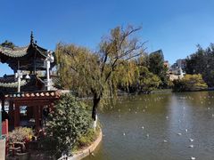 -云南民族村