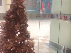 -樱花国际日语(常州中心)