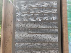 -黄海国家森林公园