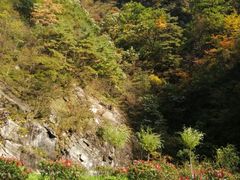 -秦岭风景区
